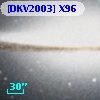 [DKV2003] X96