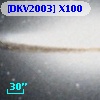 [DKV2003] X100