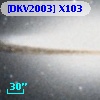 [DKV2003] X103