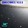 [DKV2003] X111