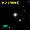 HD 275066