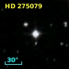 HD 275079