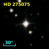 HD 275075