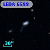LEDA    6589
