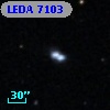 LEDA    7103