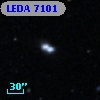LEDA    7101