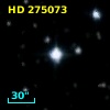 HD 275073