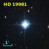 HD  19981