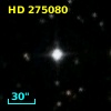 HD 275080