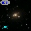 IC  311