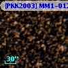 [PKK2003] MM1-0124