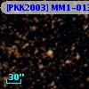 [PKK2003] MM1-0132