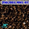 [PKK2003] MM1-0739