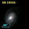 SN 1955S