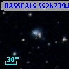 RASSCALS SS2b239.054