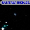 RASSCALS SRGb102.021