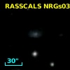 RASSCALS NRGs038.029