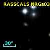 RASSCALS NRGs038.031