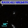 RASSCALS NRGb078.005