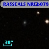 RASSCALS NRGb078.008