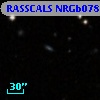 RASSCALS NRGb078.009