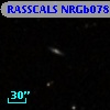RASSCALS NRGb078.010