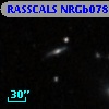 RASSCALS NRGb078.016