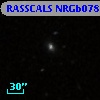 RASSCALS NRGb078.018