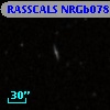 RASSCALS NRGb078.019
