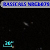 RASSCALS NRGb078.020