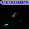 RASSCALS NRGb078.021