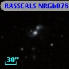 RASSCALS NRGb078.022