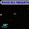 RASSCALS NRGb078.029