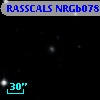 RASSCALS NRGb078.061