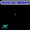RASSCALS NRGb078.074