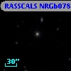 RASSCALS NRGb078.083