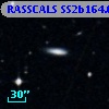 RASSCALS SS2b164.018