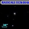RASSCALS SS2b164.036