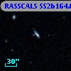 RASSCALS SS2b164.081