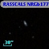 RASSCALS NRGb177.001