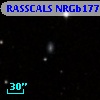 RASSCALS NRGb177.005