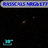 RASSCALS NRGb177.006