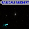RASSCALS NRGb177.037