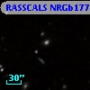 RASSCALS NRGb177.073