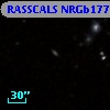 RASSCALS NRGb177.081