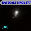 RASSCALS NRGb177.088