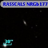 RASSCALS NRGb177.093