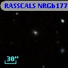 RASSCALS NRGb177.111