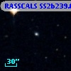 RASSCALS SS2b239.002