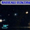 RASSCALS SS2b239.003